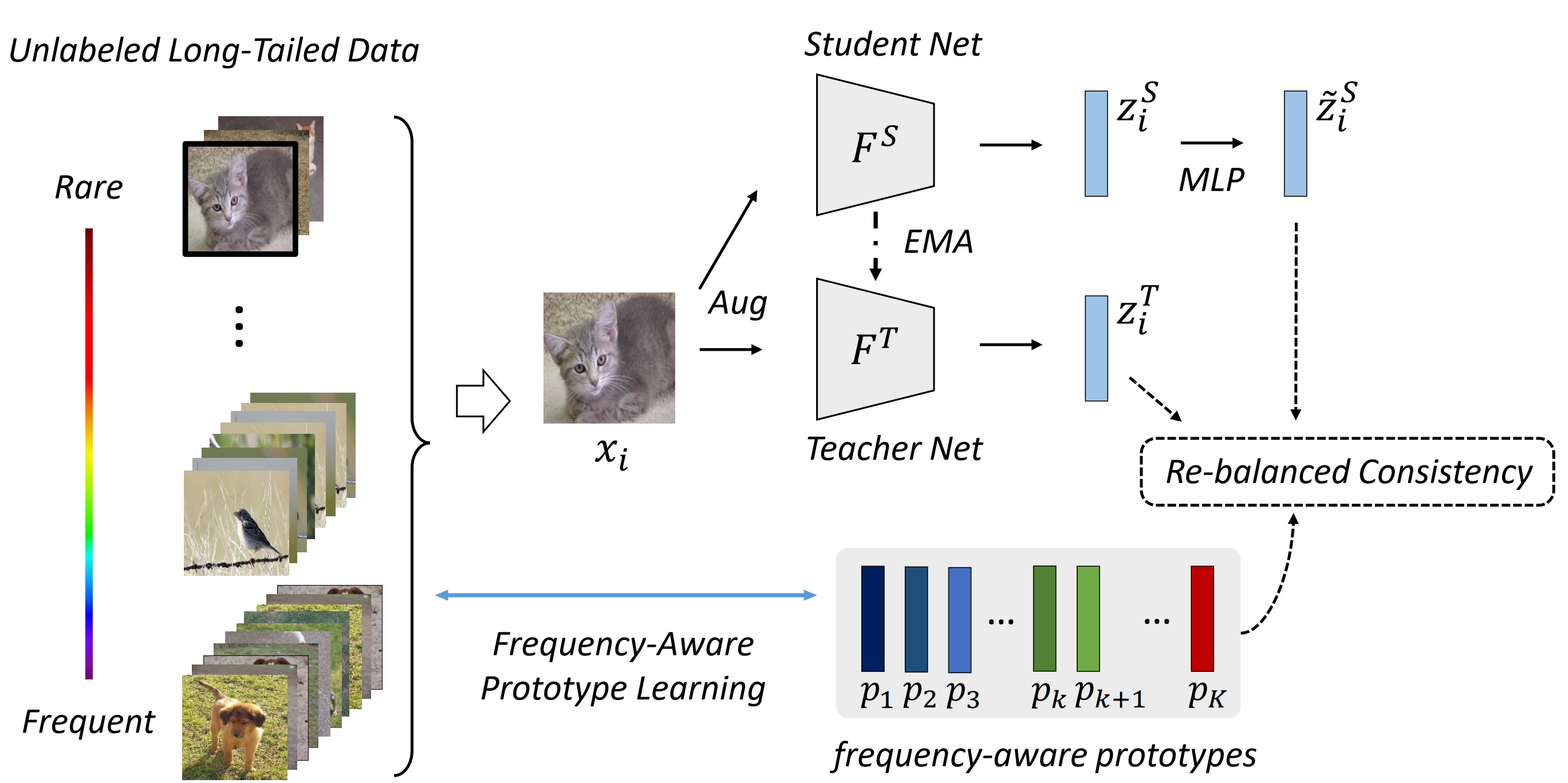 Frequency Aware Self Supervised Long Tailed Learning NVIDIA Research