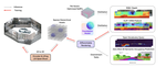 DistillNeRF: Perceiving 3D Scenes from Single-Glance Images by Distilling Neural Fields and Foundation Model Features