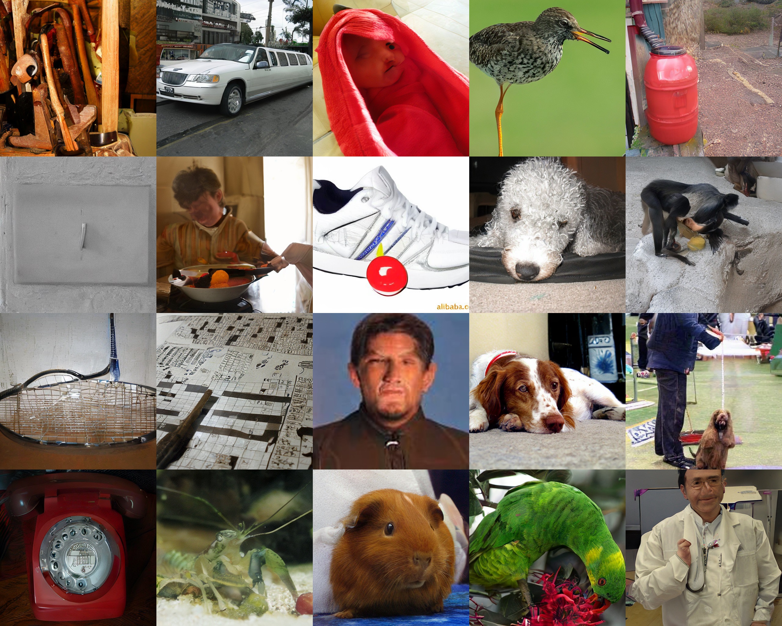 EDM2-L baseline samples