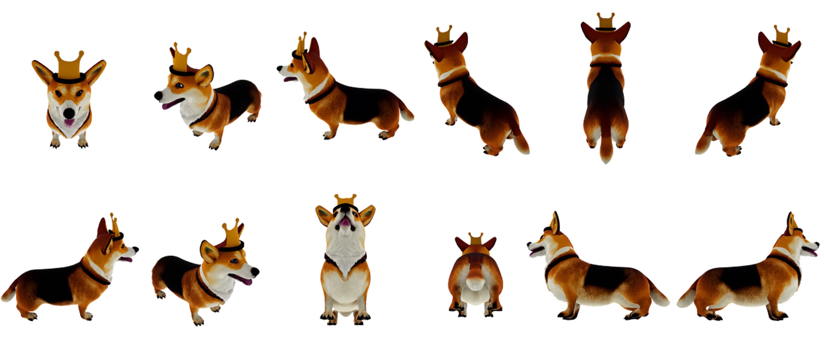 12-view sample: corgi