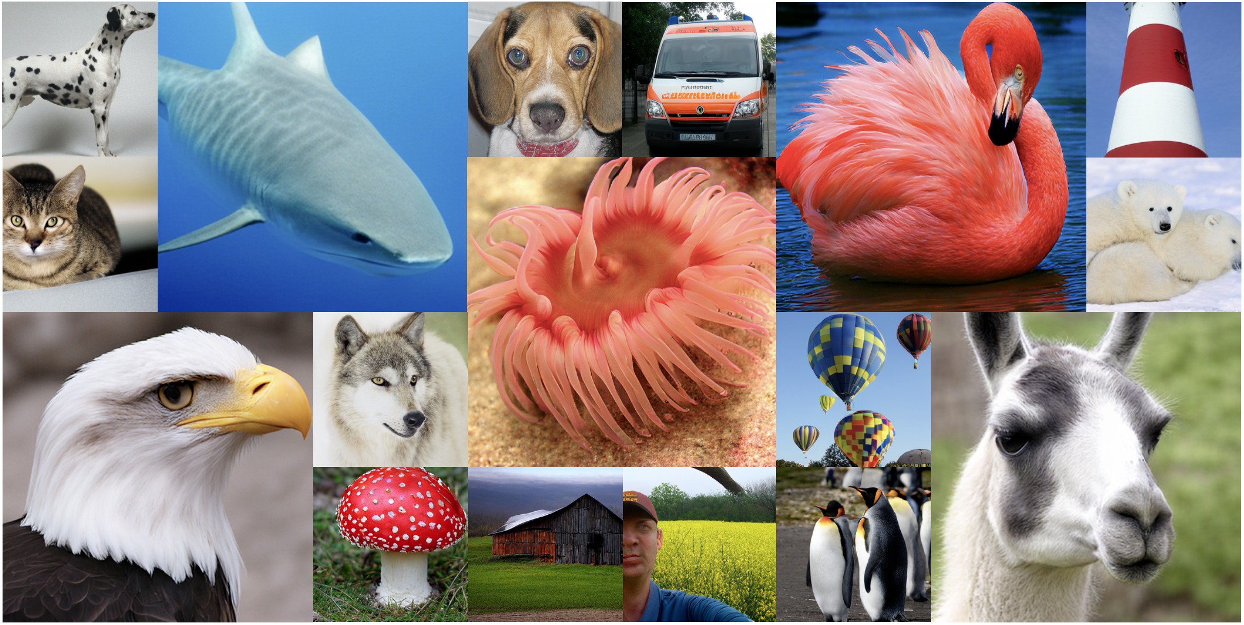 HMAR 256×256 and 512×512 samples