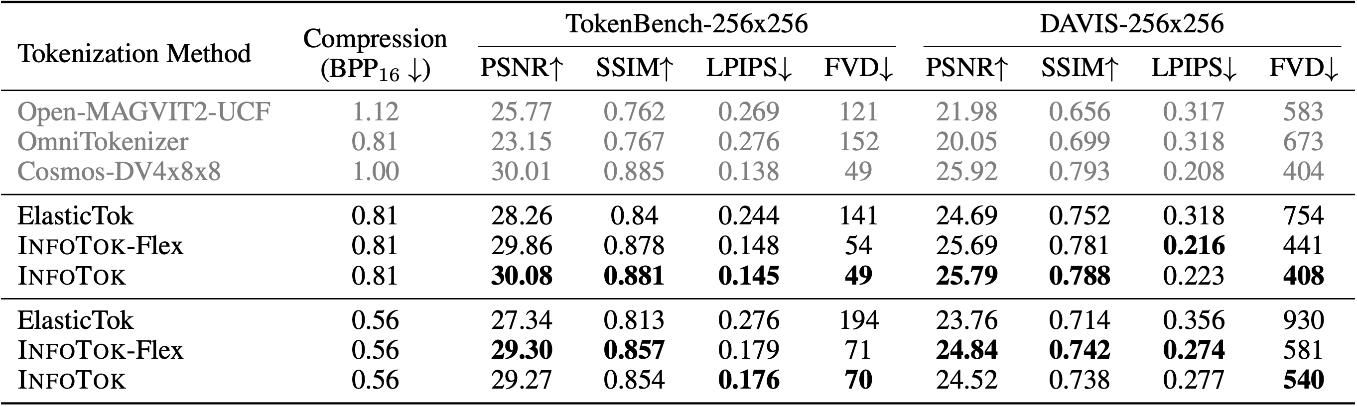 InfoTok main results table