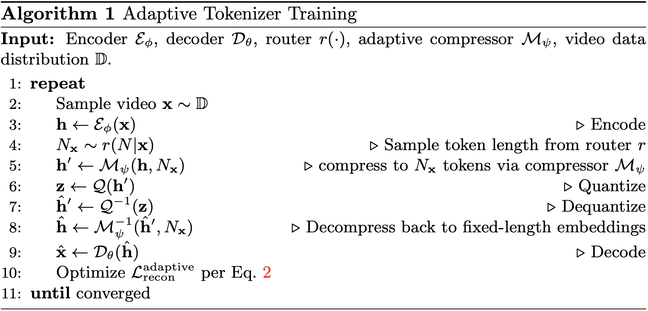 InfoTok training algorithm