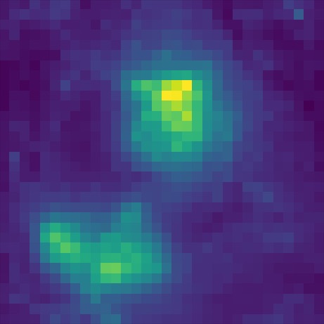 Gorilla heatmap last