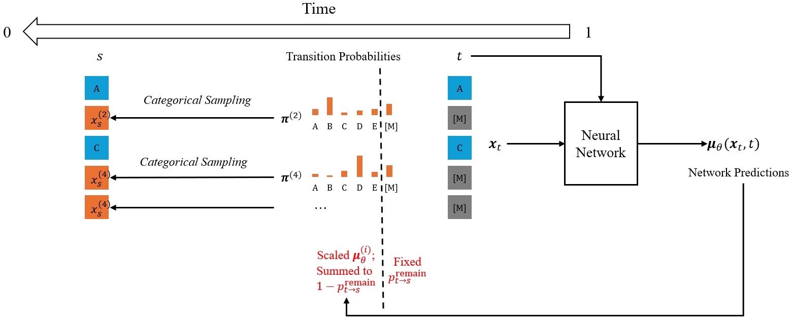 Sampling step in masked diffusion models