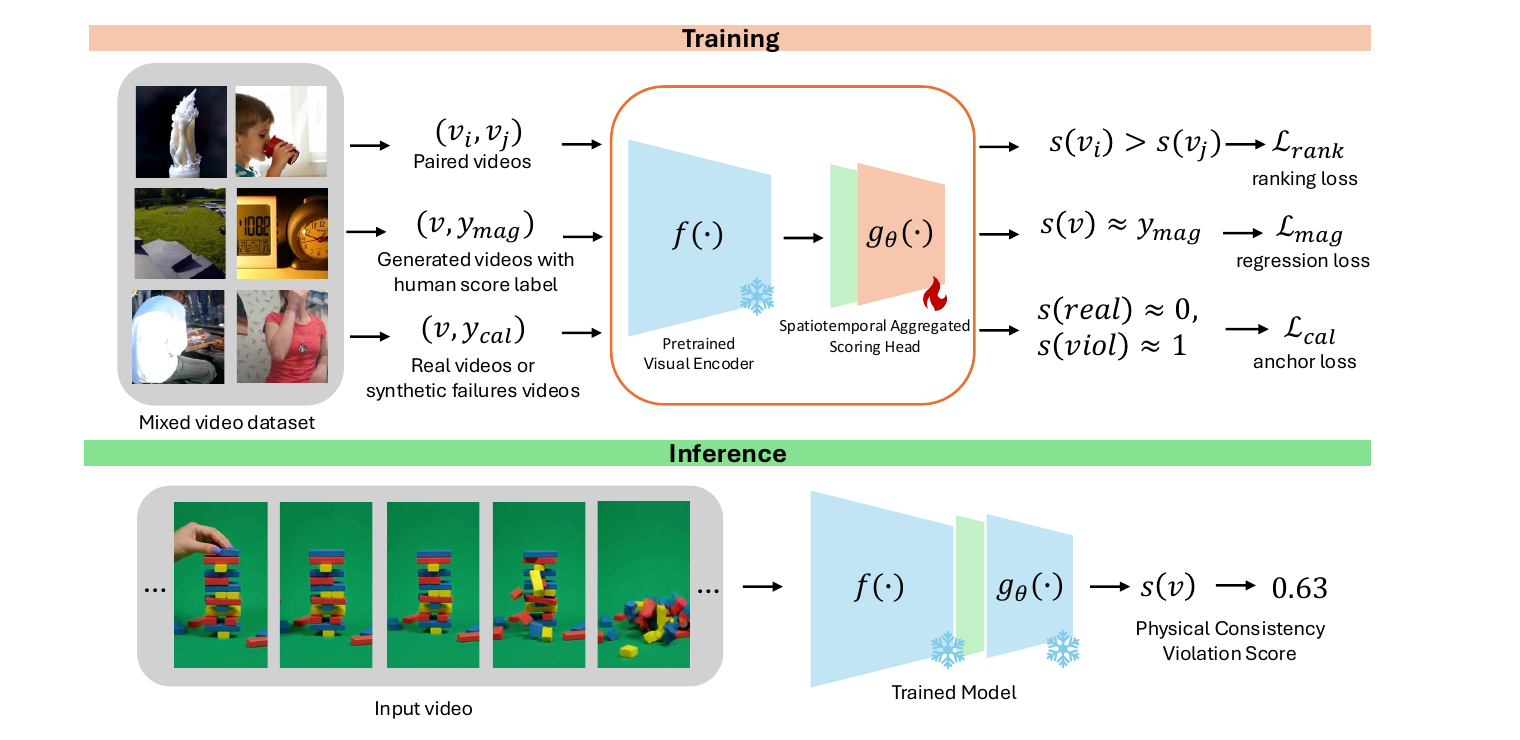 PhyProbe training and inference architecture using a frozen spatiotemporal encoder and lightweight scoring head.