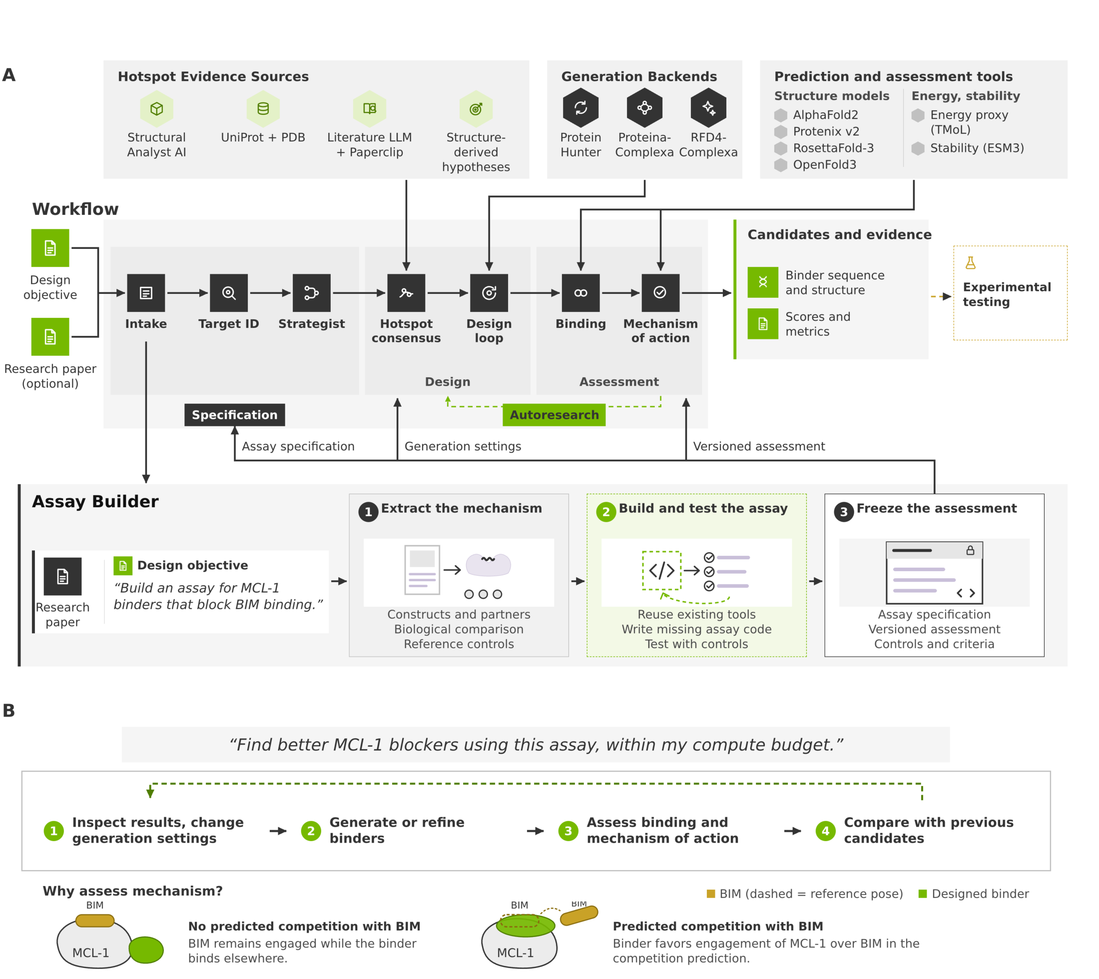 BindClaw workflow connecting a biological objective, constructs and molecular comparisons to binding-site selection, candidate design, Assay Builder specifications and Autoresearch iteration.