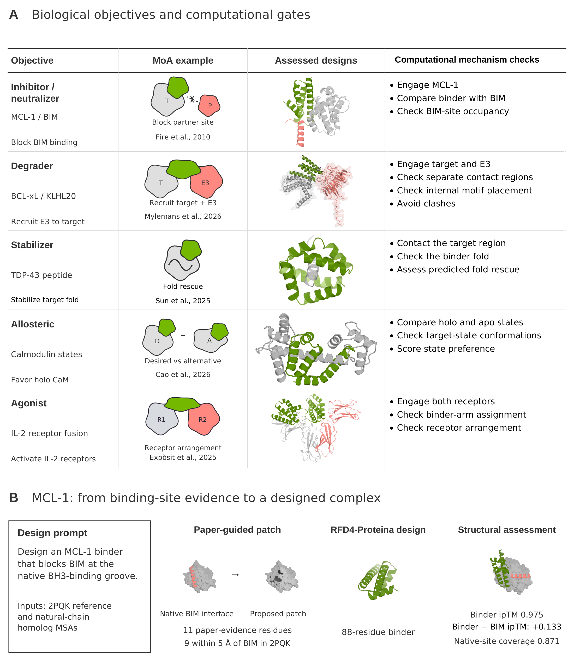Inhibition, recruitment, stabilization, state selectivity and receptor geometry assays, with an MCL-1/BIM example.