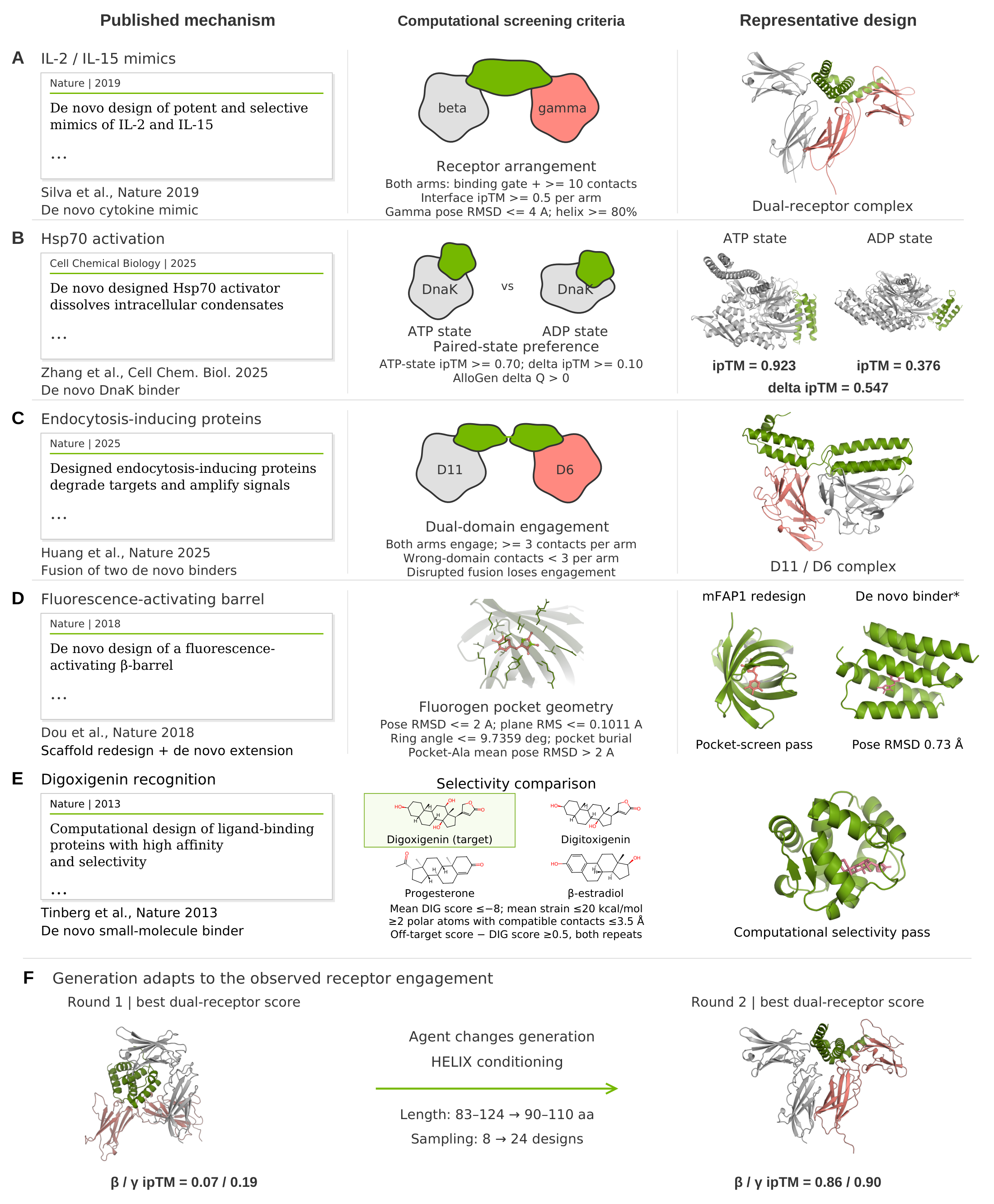 Five paper-derived molecular assays and an agent-directed receptor-binder design iteration.