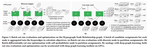 MedPart: A Multi-Level Evolutionary Differentiable Hypergraph Partitioner