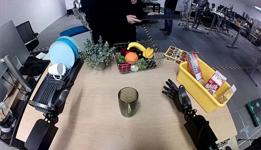 Robot's observation for the task