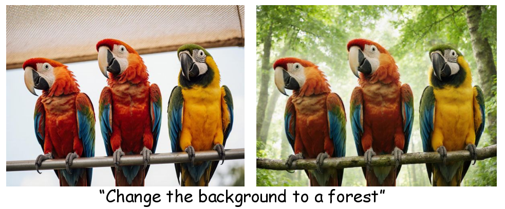 Additional general editing results.