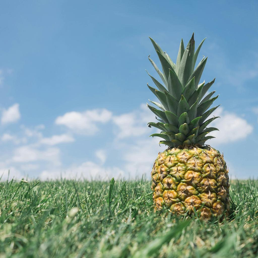 Pineapple on grass