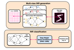 Improved Generalization of Weight Space Networks via Augmentationss
