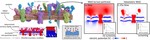 Solving partial differential equations in participating media