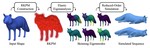 FreeForm: Reduced-Order Deformable Simulation from Particle-Based Skinning Eigenmodes