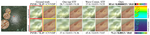 Collaborative Texture Filtering