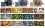 VideoNeuMat: Neural Material Extraction from Generative Video Models