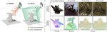 Radiance Surfaces: Optimizing Surface Representations with a 5D Radiance Field Loss