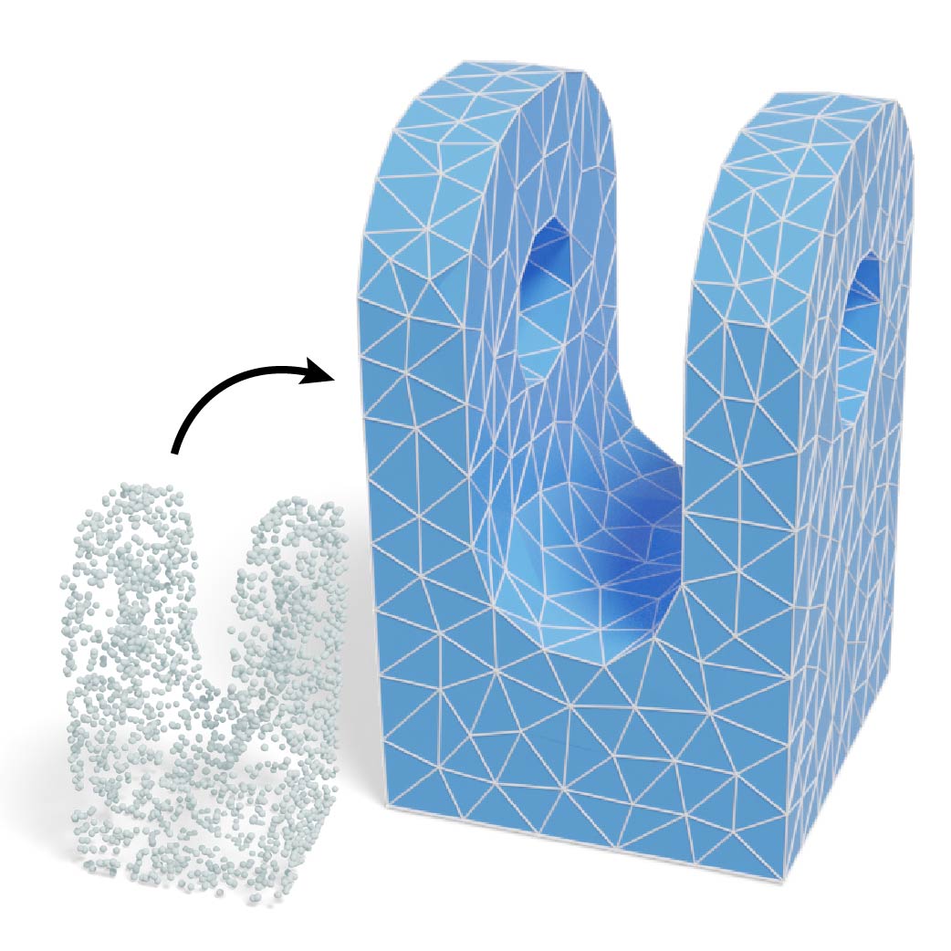 SpaceMesh visualization showing manifold mesh generation process