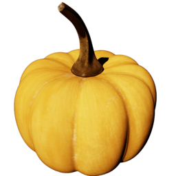 Pumpkin