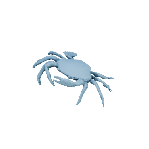 Crab