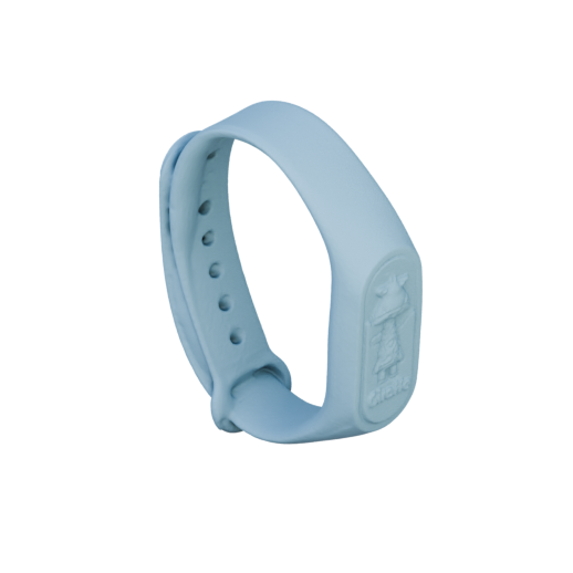 Wristband