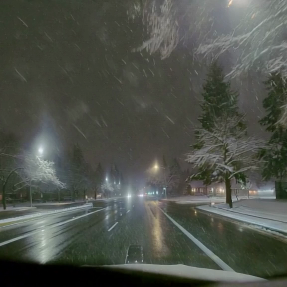 Snow 1
