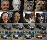 Polymorphic-GAN: Generating Aligned Samples across Multiple Domains with Learned Morph Maps