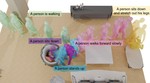 Generating Human Interaction Motions in Scenes with Text Control