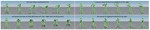 SuperPADL: Scaling Language-Directed Physics-Based Control with Progressive Supervised Distillation