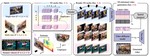 GEN3C: 3D-Informed World-Consistent Video Generation with Precise Camera Control