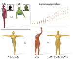 Spectral Unions of Partial Deformable 3D Shapes