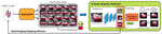 Image GANs meet Differentiable Rendering for Inverse Graphics and Interpretable 3D Neural Rendering