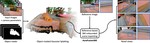 AuraFusion360: Augmented Unseen Region Alignment for Reference-based 360° Unbounded Scene Inpainting