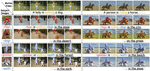 VideoMage: Multi-Subject and Motion Customization of Text-to-Video Diffusion Models