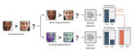 RankUp: Boosting Semi-Supervised Regression with an Auxiliary Ranking Classifier